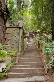 The Dipsea Trail
