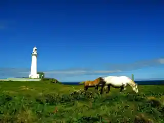 Shiriyazaki Lighthouse