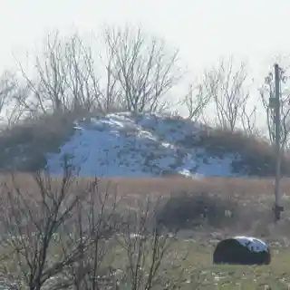 Arledge Mounds I and II