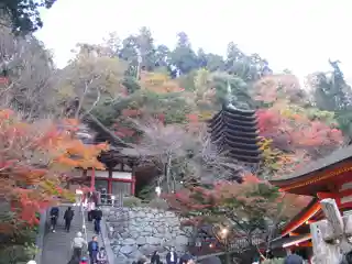 Tanzan Shrine談山神社