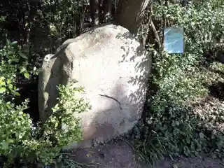 Flagstones