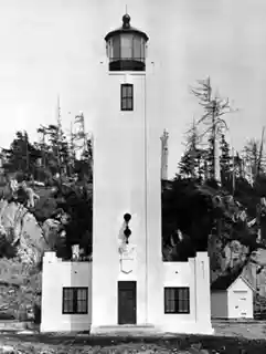 Tree Point Light