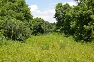 Elm Hill Archaeological Site