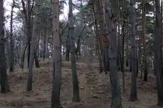 Ogasawara clan castle sites
