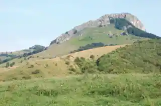 Apulon