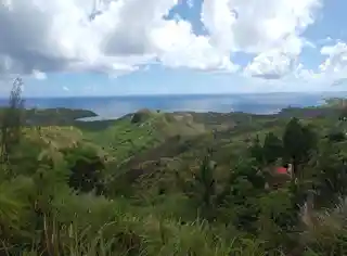 Cetti Bay
