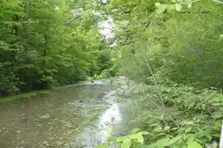 Miami and Erie Canal, Deep Cut