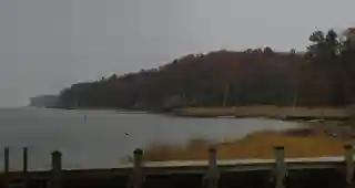 Croaker Landing Archaeological Site (44JC70)