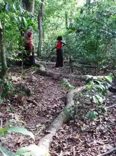 Kaya (Mijikenda)