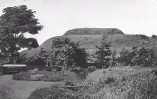 Moshiriya Chashi