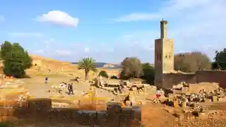 Chellah / Shalla
