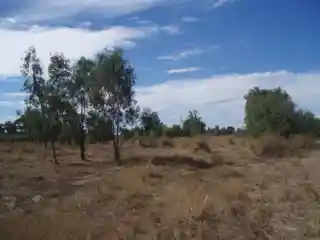 Shearers' Strike Camp Site, Barcaldine