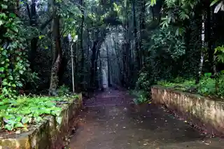 Iringole Kavu