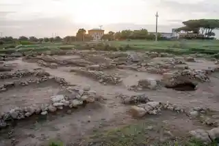 Gravisca
