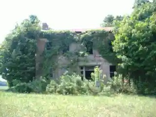 Sutton House