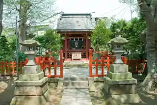 Yui Wakamiya