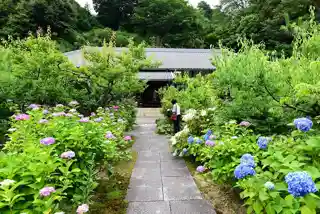 Honkō-ji