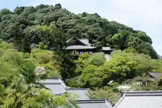 Buzan Shinrakuin Hase-dera