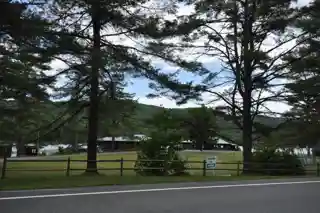 Aloha Hive Camp