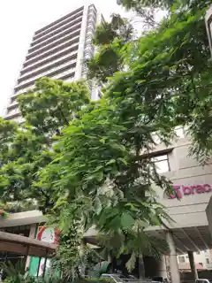 BRAC Centre