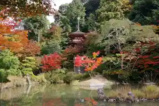 Jōruri-ji浄瑠璃寺