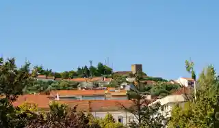 Castle of Castelo Branco