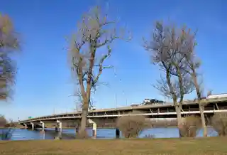 Louis Bisson Bridge