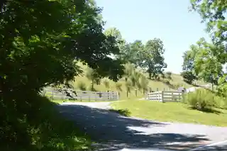 Doe Creek Farm