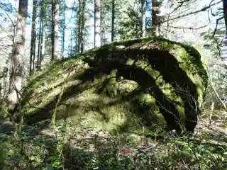 Rock Corral on the Barlow Road