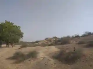 Rakhigarhi