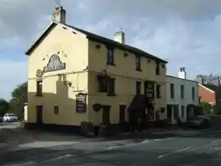 Black Bull