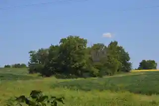 Mound Hill Archeological Site