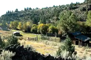 Riddle Brothers Ranch