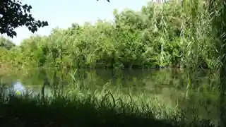 Shirvan National Park