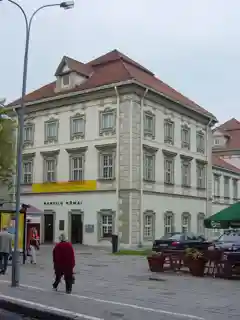 Radvilas Palace