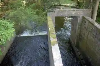 Chipman's Mill