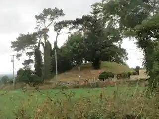 Rathvilly Moat