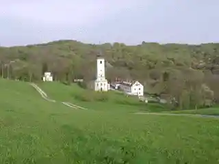 Lepavina