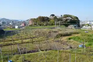 Tosaka-dera ruins