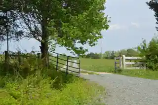 Harris Farm