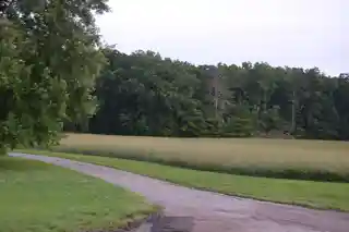 Walnut Hill