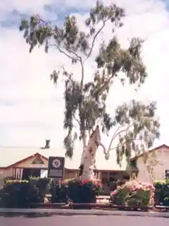 Tree of Knowledge (Australia)