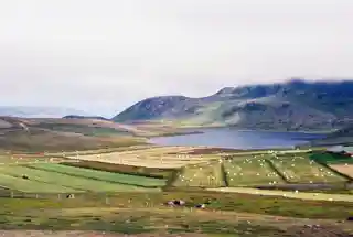 Garðar