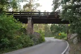 Pig Tail Bridge