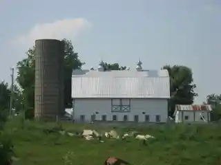 McDonald Farm