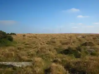 Craddock Moor stone circle