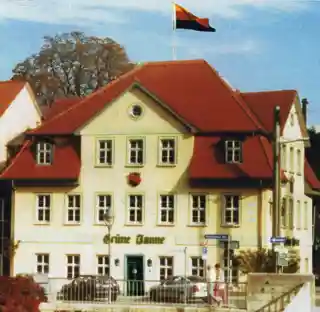 Grüne Tanne