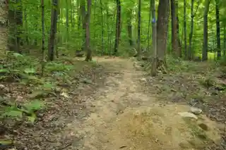 Hinesburg Town Forest