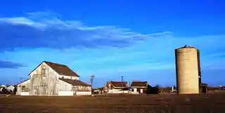 Bromley Farm–Koizuma Hishinuma Farm