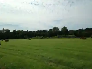 Big Black River Battlefield